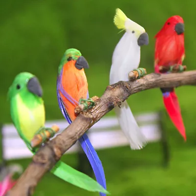 Dollhouse Miniature Parrot Mini Birds 1:12 Garden Handmade Figurines Decoration • $6.99