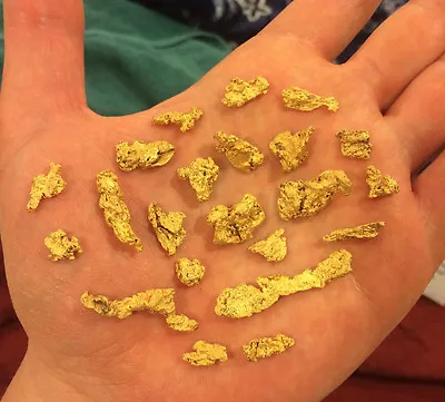 $19.99 • Buy 12 Oz GOLD PAYDIRT Unsearched And Added Gold Panning Alaska Concentrates