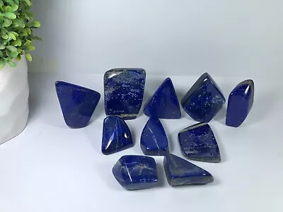Lapis Lazuli Freeform AAA Polished Rough Tumble Crystal Specimen Stone Lot 3.3LB • $159.99