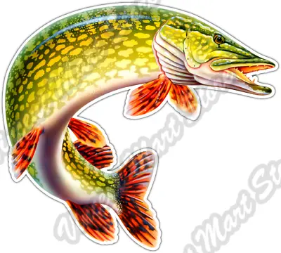  Northern Pike Musky Fish Fishing Fisherman Car Bumper Vinyl Sticker Decal 5 X4  • $3.85