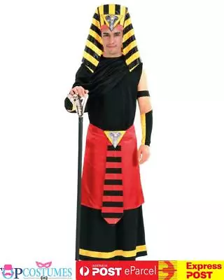 Ramses King Of Egypt Pharaoh King Tut Book Week Halloween Mens Costume • $45