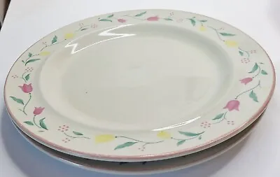 2 PC Dinner Plates Anchor Hocking Stoneware Dutch Garden Replacements 10.5 Inch • $9.98