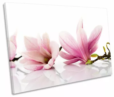 Floral Flowers Magnolia Pink Print SINGLE CANVAS WALL ART Picture • $64.99