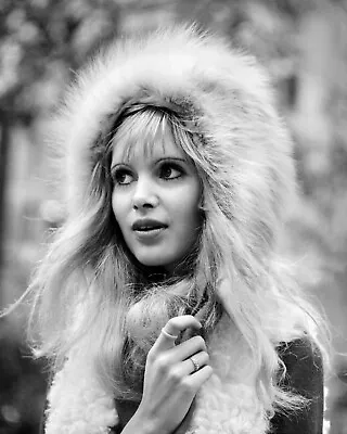 Madeline Smith 10  X 8  Photograph No 2 • £4