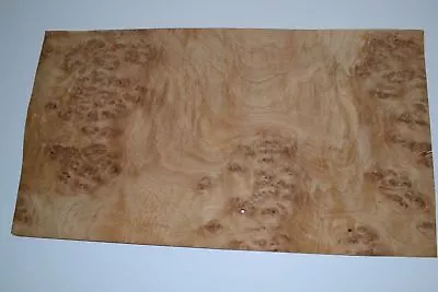 Oak Burl Raw Wood Veneer Sheet 8 X 16 Inches 1/42nd                    E6925-3 • $13.42