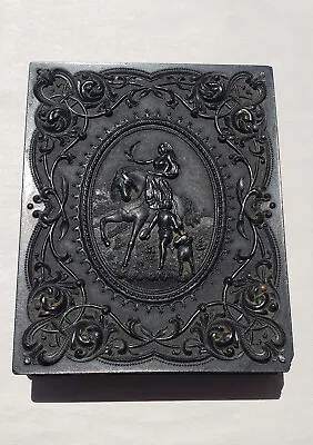 Lady With Falcon Quarter Plate Daguerreotype Thermoplastic Case Excellent • $250