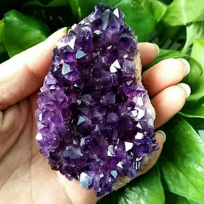 Natural Amethyst Stone Cluster Quartz Crystal Druzy Geode Specimen Healing Reiki • $18.25