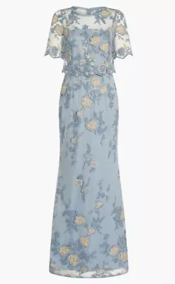 ADRIANNA PAPELL Lace Gown Size 4 Light Blue Floral Embroidered Illusion Mesh • $71.24