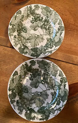 Quadrifoglio  2 QUD5 Green Grapes Salad Plates 7 5/8  EXCELLENT • $10