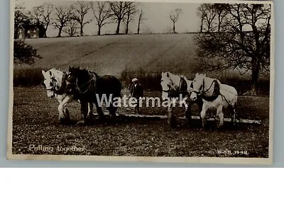 £4.95 • Buy A1677. Ploughing Team. Horses. RPPC. Unposted. Early Century