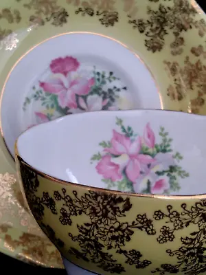 Queen Anne England Fine Bone China Teacup Saucer Set Yellow Band Gold Orchids • $15.99