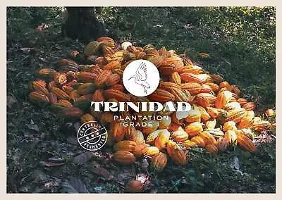 Trinidad & Tobago Tabaquite Cacao Cocoa Beans • £15