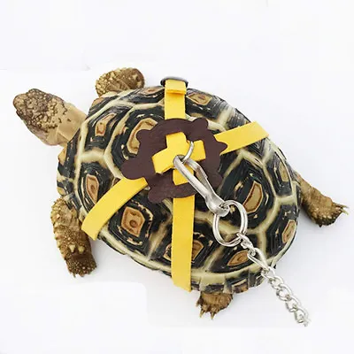 Pet Tortoise Turtle Leather Harness Strap Chest Collar Walking Lead Control Rope • £3.83