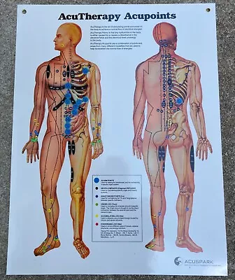 Large Vintage Acupuncture Meridians Points Laminated Poster Chart Wall Map 20x26 • $19.95