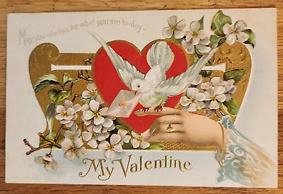 My Valentine Vintage Embossed  Postcard PC 1910 Dove With Letter • $4.98