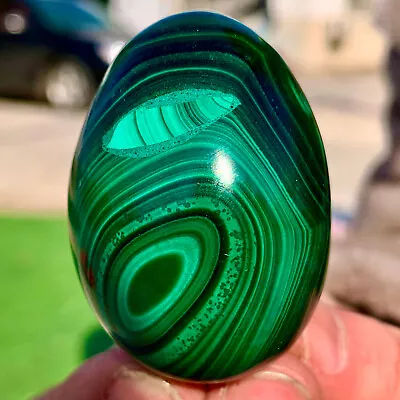 124G Natural Glossy Malachite Egg Transparent Cluster Rough Mineral Sample • $66