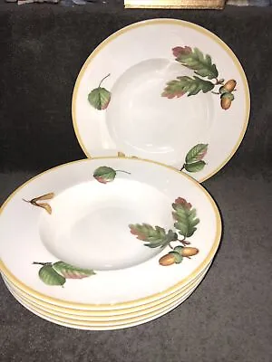 VILLEROY & BOCH Parkland Pattern 11 3/4”  Large Pasta Bowl EUC Set Of 6 • $60