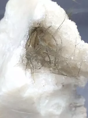 SS Rocks - Millerite In Quartz (Coralville Quarry- Johnson Co Iowa) 26g • $70