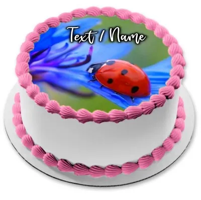 Ladybug Cake Pad Edible Party Decoration Personalized Name Exam School • £7.68