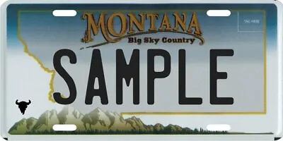 Custom Personalized Vanity Metal License Plate - Your Name Your State • $19.90