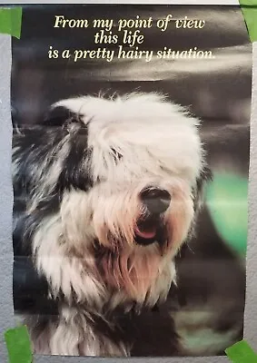 Poster Old English Sheepdog Life Is A Pretty Hairy Situation Vintage • $33.64