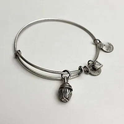 Cupcake MS Multiple Sclerosis Alex And Ani Bracelet • $7.99