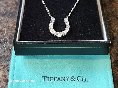 Tiffany & Co. Horse Shoe Metro Diamond & Platinum Necklace (PT 950) STUNNING! • $2759.03