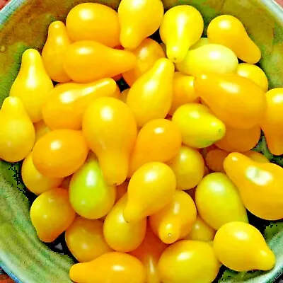Tomato Yellow Pear Cherry Rare Heirloom Vegetable Garden Non-gmo 30+ Seeds Usa • $2.99