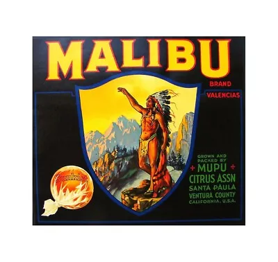  Malibu Brand Fruit Crate Label Poster Home Garden Wall Decor • £16.21