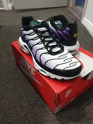 Nike Air Max Plus Tn 10.5us • $200