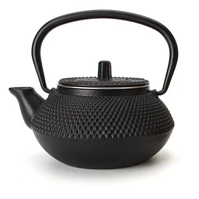 300ml Cast Iron Tea Pot Japanese Style Teapot Water Kettle With Removable Filter • $25.09