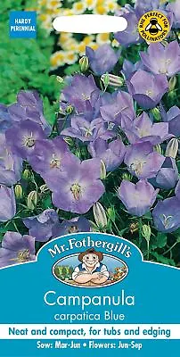 Mr Fothergills - Flower - Campanula Carpatica Blue - 1500 Seeds • £3.70