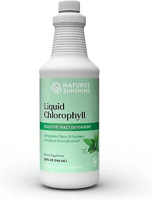  Chlorophyll Liquid 32 Fl Oz Kosher | Fresh Mint Chlorophylli • $56.19