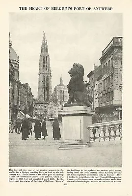 £7.74 • Buy LION OF BELGIUM ANTWERP CITY CATHEDRAL NOTRE DAME PHOTO-ILLUSTRATION Belgique