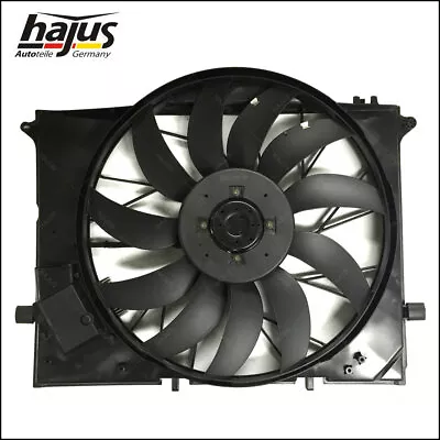 Electric Fan Radiator Fan Motor Fan Mercedes S-Class W220 Original Hajus • $280.26