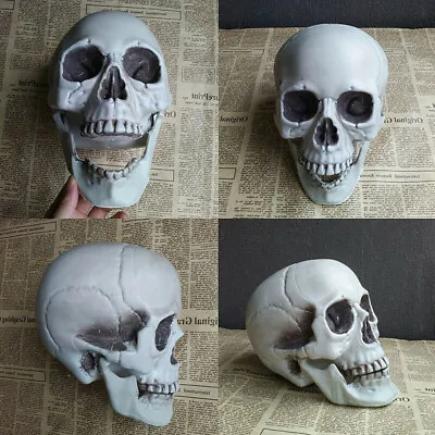 Halloween Artificial Skull Head Model Skull Bone Scary Horror Skeleton Ornament • £1.99