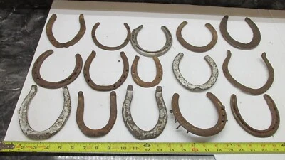 $32.99 • Buy 15 Old +  Good Luck Rusty  Kansas Farm Horse Shoe Lot C