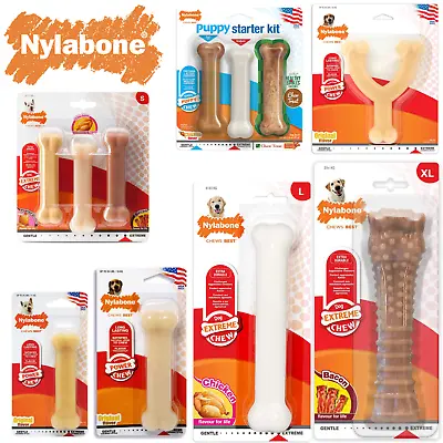 Nylabone Dura Chew Tough Strong Dog Bone Toy Chicken Bacon  Original Flavours • £6.29