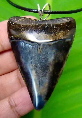Mako Shark Tooth Necklace - 1.99 Inches - Real Fossil - No Repair - Shark Teeth • $68