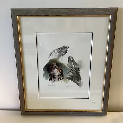 Michael Dumas  Red-Tailed Hawk  Lithographed Print 1993 Hand Signed & Numbered • $299.99