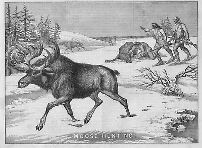 Moose Hunting   -  1854 Historical Print • $19.51