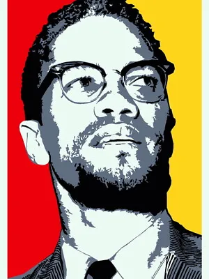 V2523 Malcolm X Human Rights Activist Portrait Art Decor WALL POSTER PRINT CA • $13.82
