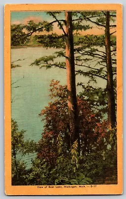 Muskegon Michigan MI - The View Of Bear Lake - Vintage Postcard - Posted • $4.69