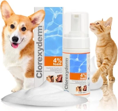 £14.29 • Buy Clorexyderm 4 Foam Mousse Dry Shampoo For Dogs Cats Antibacterial Antifungal Dry