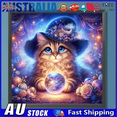 AU 5D DIY Full Round Drill Diamond Painting Crystal Cat Kit Home Decoration 30x3 • $9.89