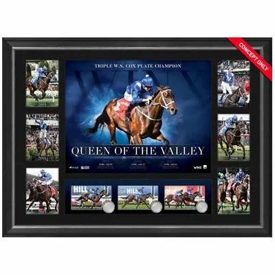 Winx Queen Of The Valley Framed Horse Racing Tribute Frame Black Caviar Phar Lap • $59.99