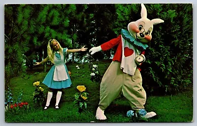 Hurry Alice We're Late Walt Disney World Chrome Postcard • £4.34