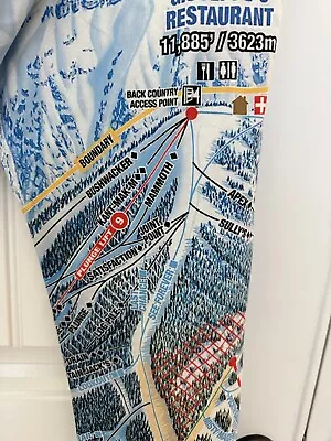 Mountain Legs By July Five Official Ski Map Leggings Size L Telluride Colorado • $30