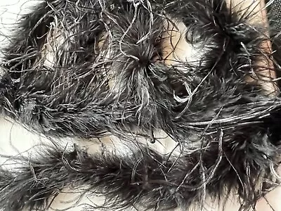 £30 • Buy Black Ostrich Feather Boa 2 Meter Long