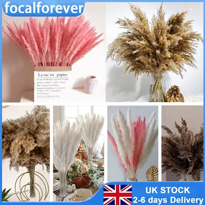 12Pc Dried Flower Pampas Grass Reed Flowers Bunch DIY Wedding Home Bouquet Decor • £6.64